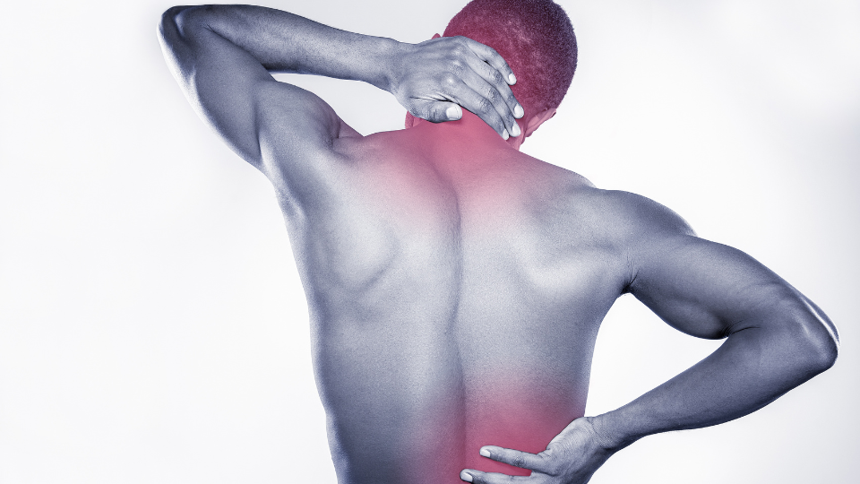 Problemi muscolo scheletrici: quando rivolgersi al Fisiatra e quando all’ortopedico?